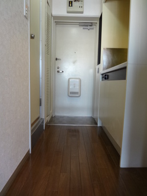 Entrance. Entrance hall