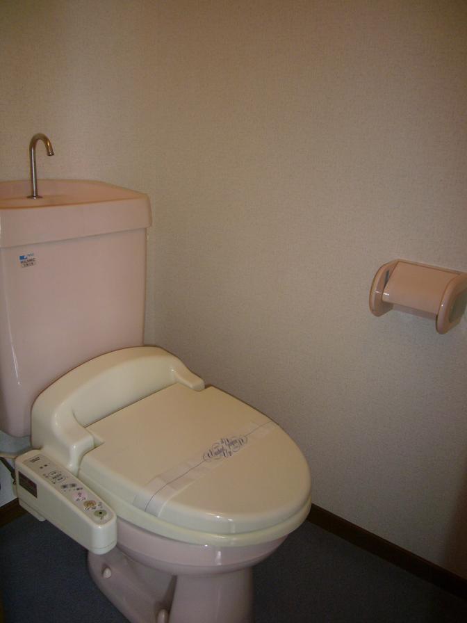 Other. With warm water washing toilet seat