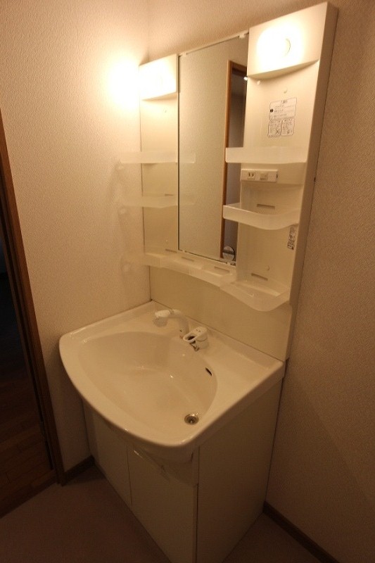 Washroom. Shampoo dresser