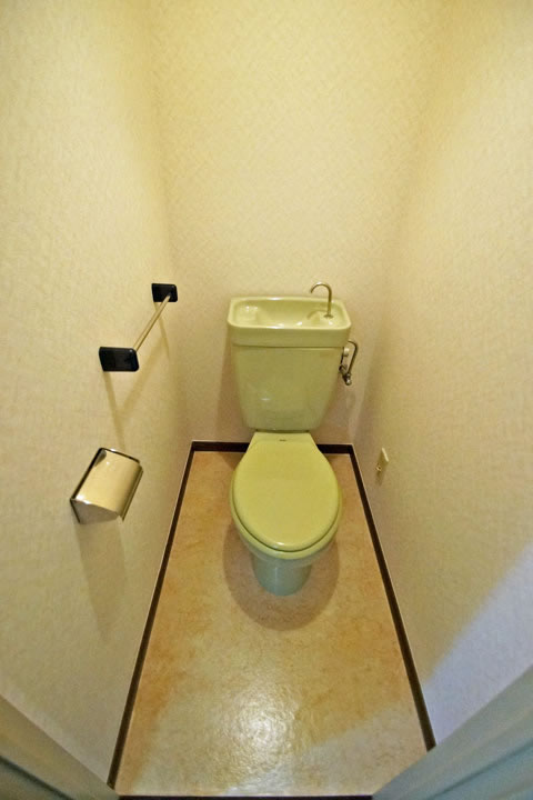 Toilet