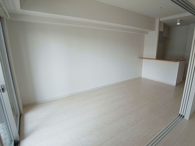 Living and room. Living