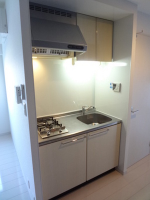 Kitchen. System kitchen