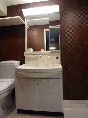 Washroom. Wash basin