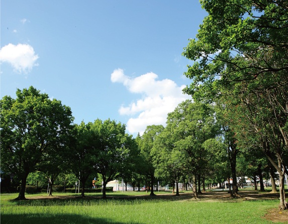 park. 100m to Kaizuka Park (park)