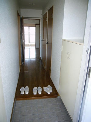 Entrance. There are shoe box