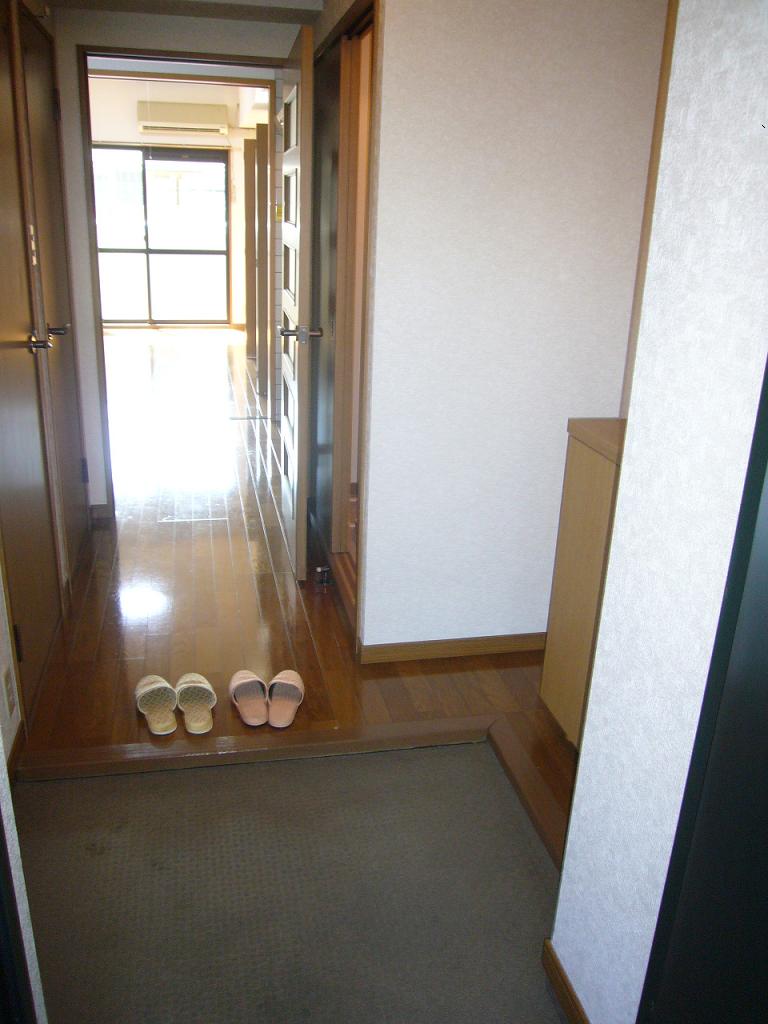 Entrance. Entrance with a shoe box!