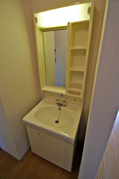 Washroom. Wash basin