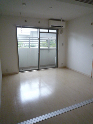 Living and room. Western style room