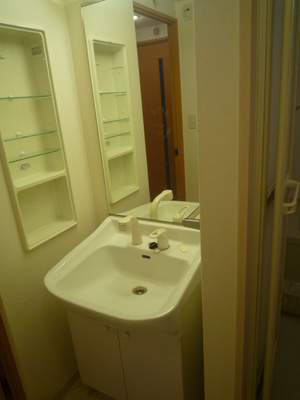 Washroom. Wash basin