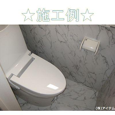 Toilet. Example of construction