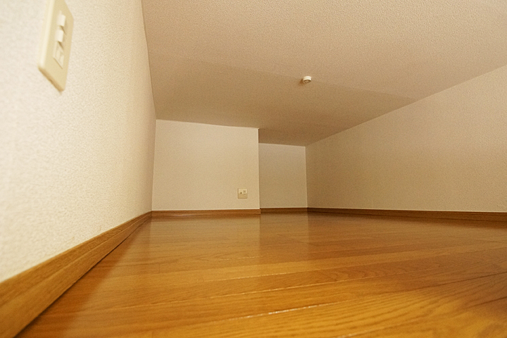 Other room space. Loft (4 Pledge)