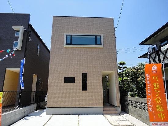 Local appearance photo. local