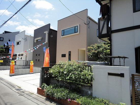 Local appearance photo. local