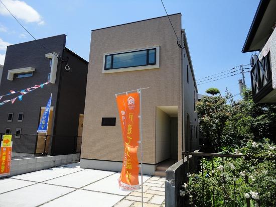 Local appearance photo. local