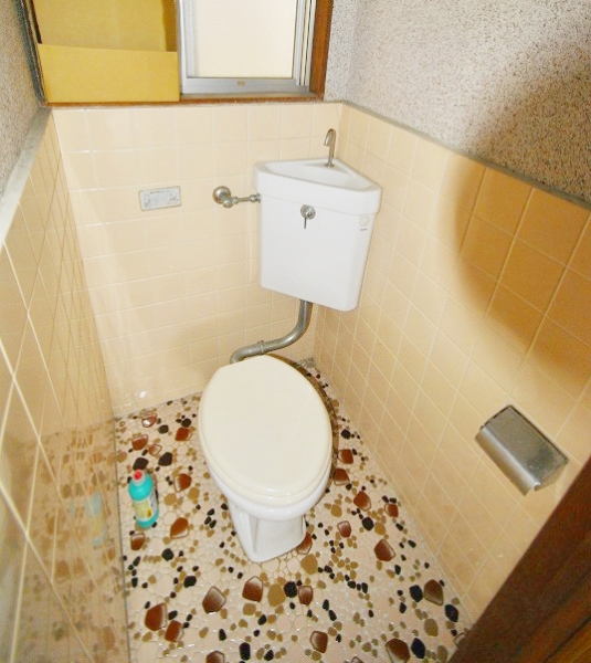 Toilet. Tray also independent type