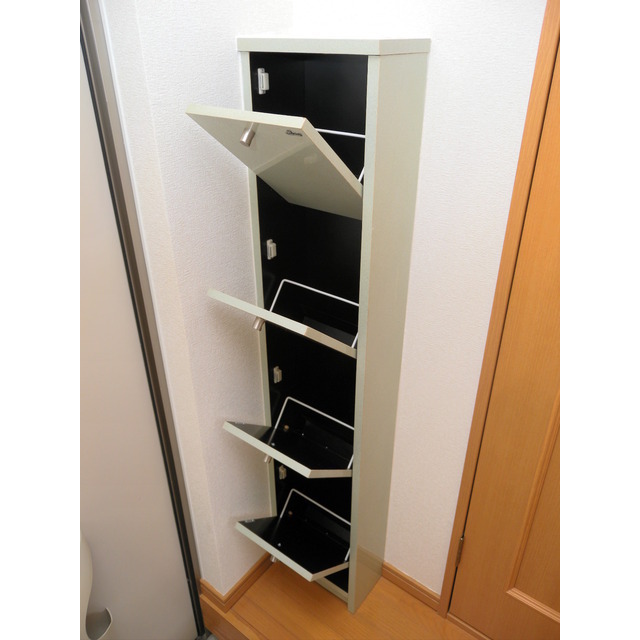 Other. Model is a picture