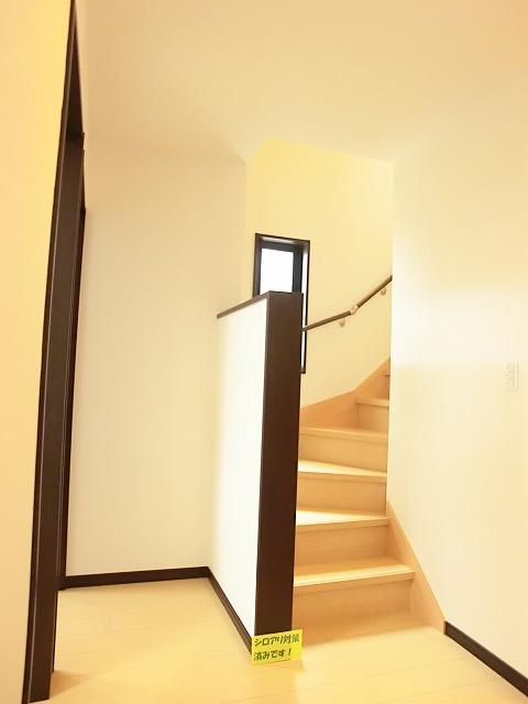 Other introspection. Indoor (July 2013) Shooting