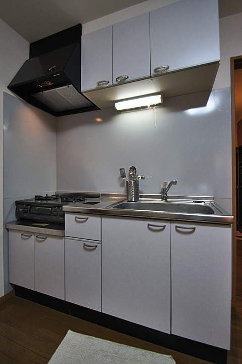 Kitchen. Kitchen (gas stove bring)