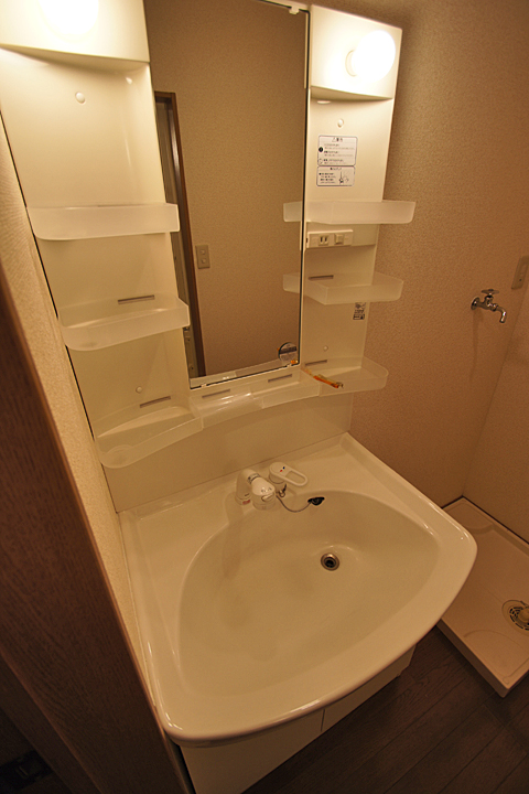 Washroom. Bathroom vanity