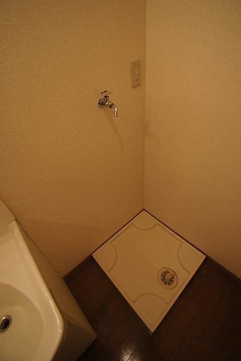 Washroom. Washing machine in the room