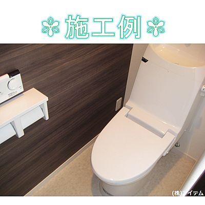 Toilet. Example of construction