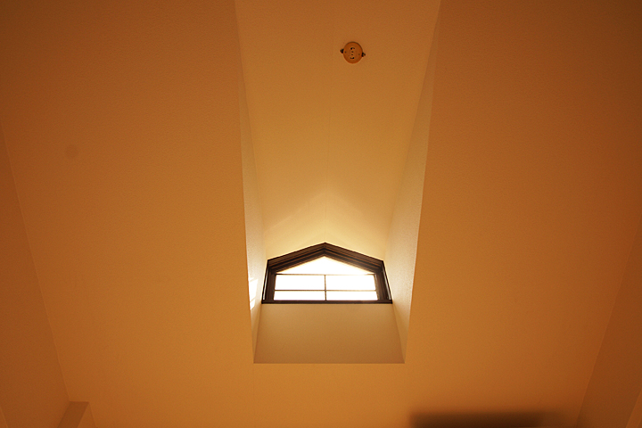 Other Equipment. Skylight (top floor only)