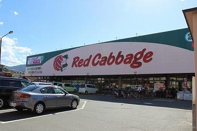 Supermarket. Red cabbage ・ Until Daiso 320m