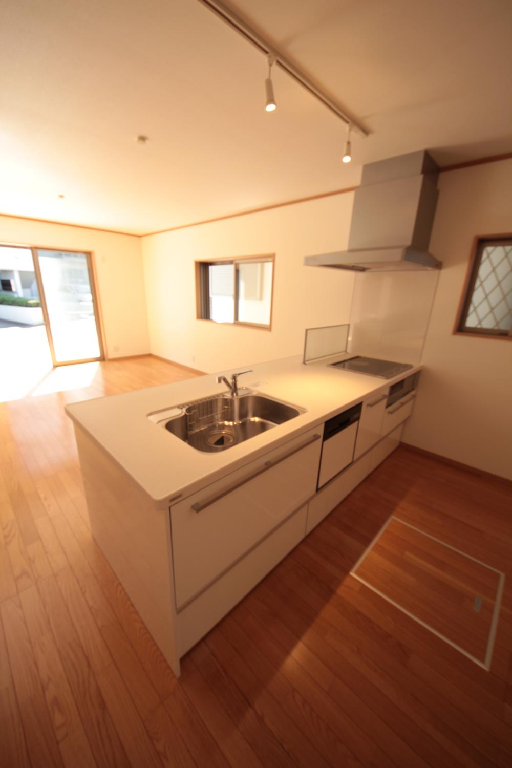 Kitchen. Local (September 2013) Shooting