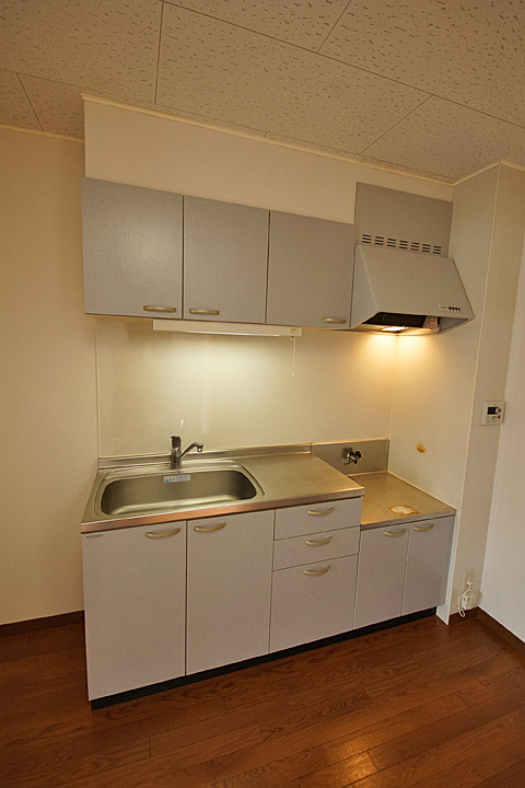 Kitchen. Kitchen (bring two-burner stove)