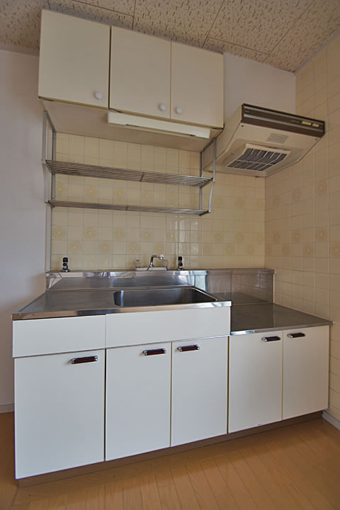 Kitchen. Kitchen (gas stove bring)