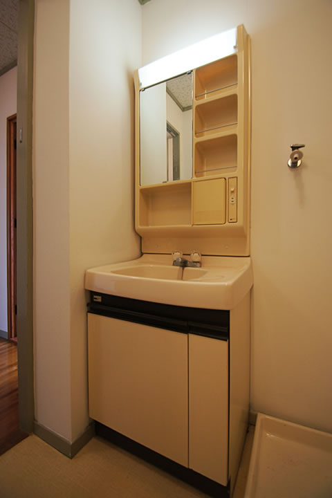 Washroom. Bathroom vanity