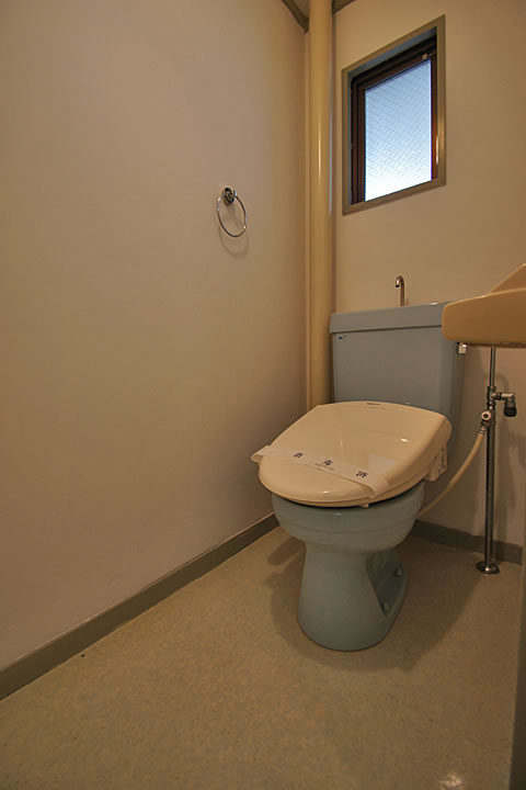 Toilet. Toilet (Washlet)