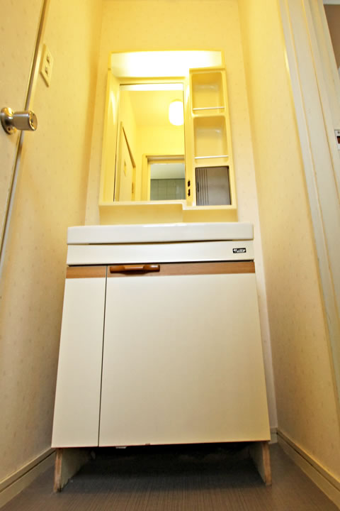 Washroom. Bathroom vanity