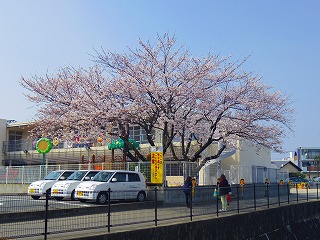 kindergarten ・ Nursery. Gentian nursery school (kindergarten ・ 700m to the nursery)