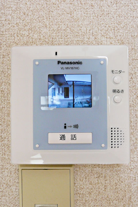 Security. Monitor with intercom