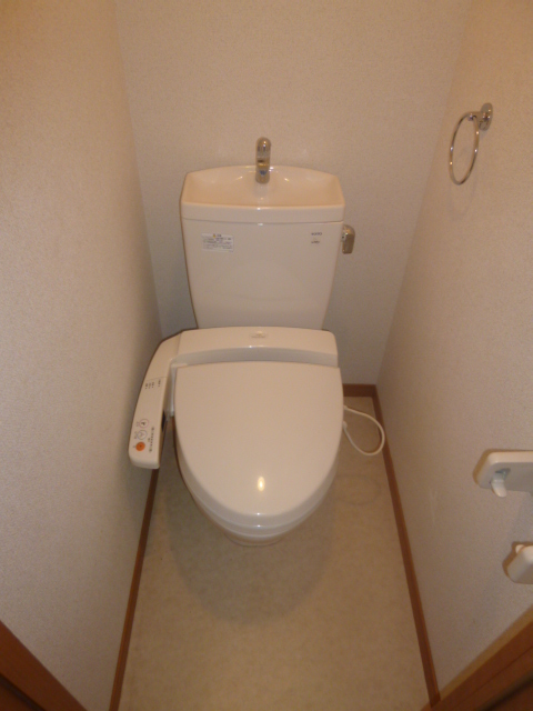Toilet. I do not live that there is no bidet.