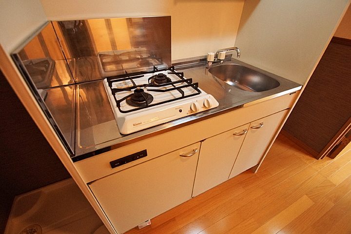Kitchen. System kitchen (two-burner stove)