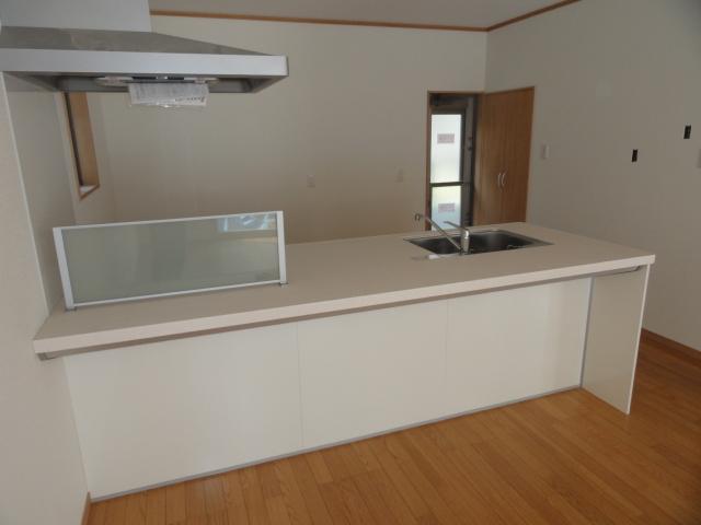 Kitchen. Indoor (June 2013) Shooting Open-minded open kitchen