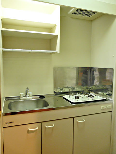 Kitchen. Independent kitchen (2 lot gas stoves)