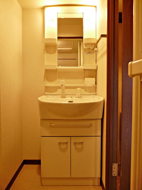 Washroom. Bathroom vanity