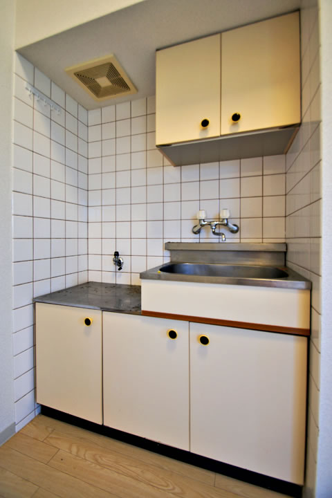 Kitchen. Kitchen (gas stove bring)