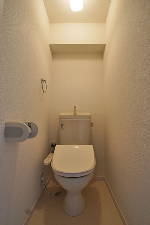 Toilet. Toilet (Washlet)