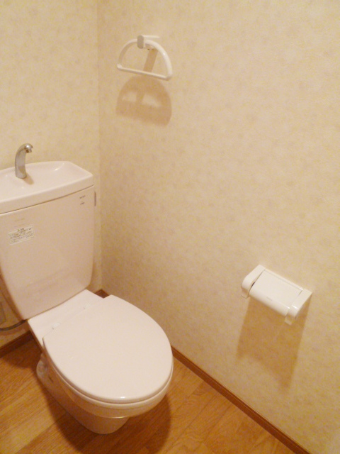 Toilet. Since it is a renovation property water around it is beautiful!