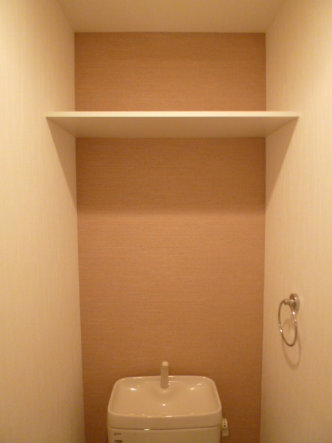 Toilet. Really helps when there is this shelf.