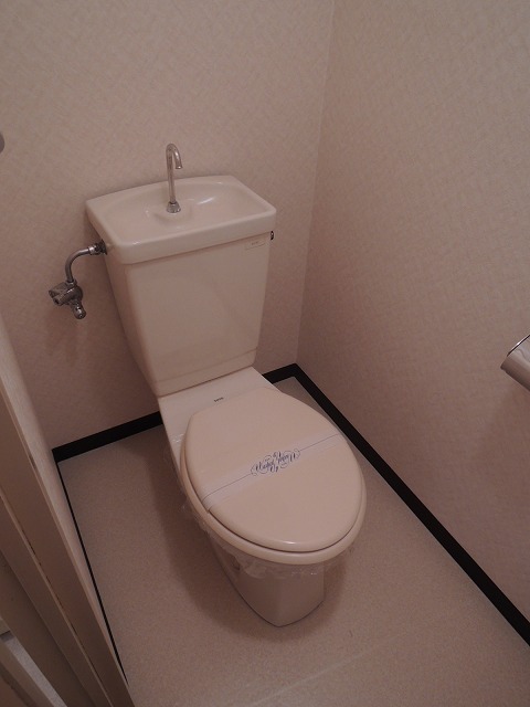 Toilet. Toilet