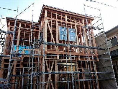 Local appearance photo. Was completion of framework! (2013 December 2 shooting)