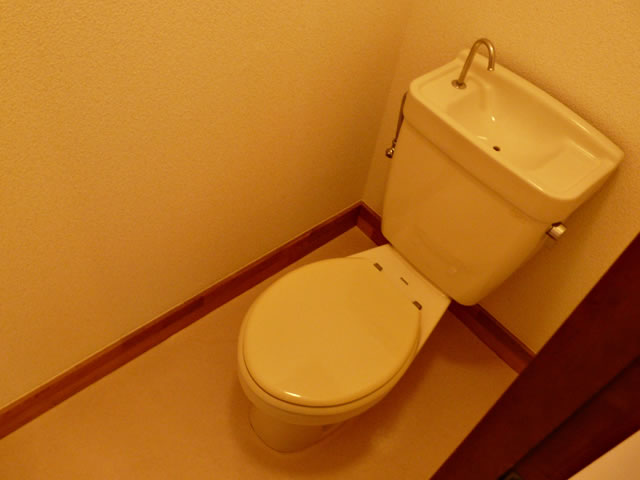 Toilet. Toilet
