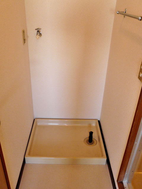 Other room space. Washing machine in the room