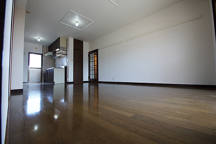 Living and room. Living (south-facing)