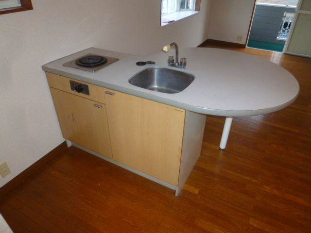 Kitchen. Kitchen is fashionable.